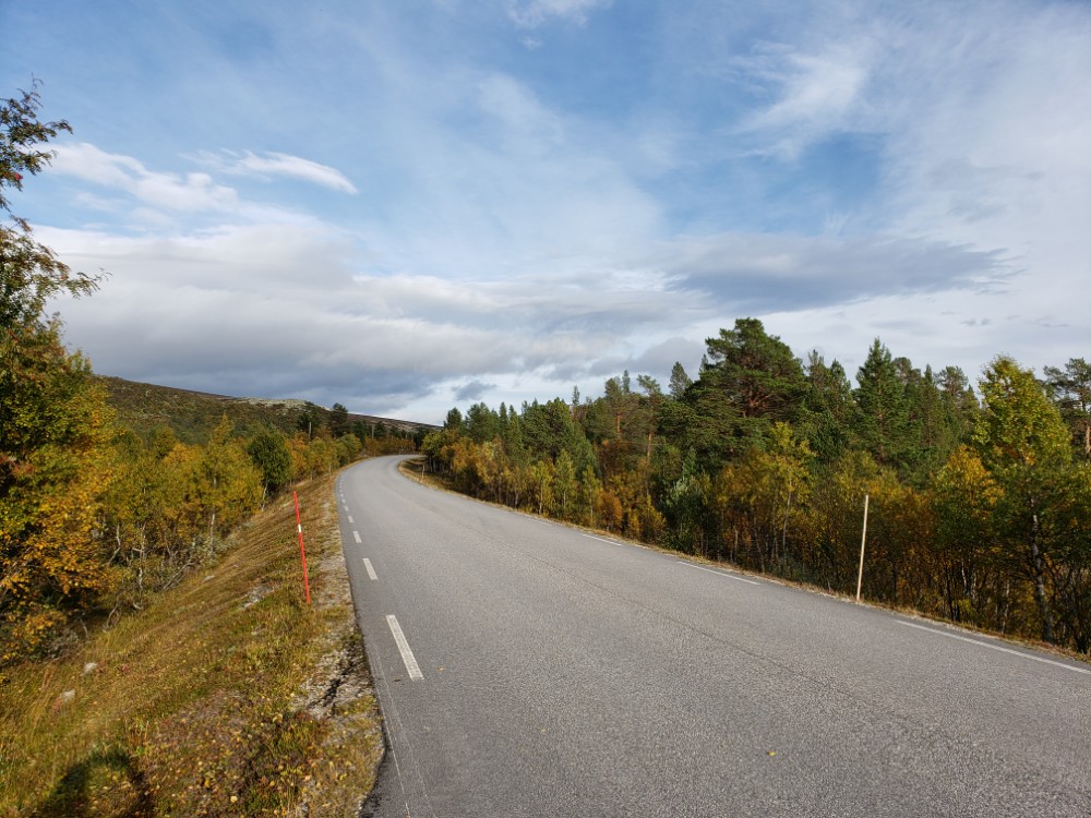 Fall colors Sweden ot Norway Fall Colors Sweden Norway